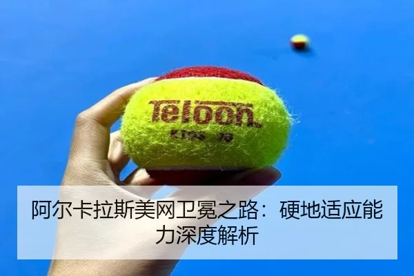 a-er-ka-la-si-mei-wang-wei-mian-zhi-lu-ying-di-shi-ying-neng-li-shen-du-jie-xi-2-613.jpg